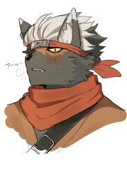 1boy blush colored_sclera commentary_request furry furry_male headband highres japanese_clothes looking_at_viewer male_focus red_headband saliva sharp_teeth short_hair simple_background solo sweatdrop tadatomo_(housamo) teeth tokyo_afterschool_summoners translation_request white_background white_hair yano_(zri_088) yellow_sclera 