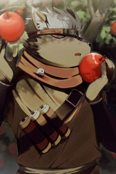  1boy apple commentary_request dog_boy fang food fruit furry furry_male highres holding holding_food holding_fruit japanese_clothes looking_at_viewer male_focus open_mouth outdoors red_eyes red_scarf scarf scroll solo tadatomo_(housamo) tokyo_afterschool_summoners tree white_hair yano_(zri_088) yin_yang 