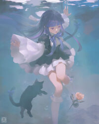  absurdres black_cat black_dress black_shoes black_tail blue_eyes blue_hair blunt_ends bow bubble cat cat_tail dress dress_bow duplicate elzapatoverde flower frederica_bernkastel frederica_bernkastel_(cat) frilled_sleeves frilled_socks frills highres hime_cut kneehighs mary_janes pink_flower pink_rose puffy_sleeves purple_bow ribbon rose shoes skirt socks tail tail_ornament tail_ribbon umineko_no_naku_koro_ni underwater white_skirt white_sleeves white_socks 
