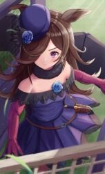  1girl animal_ears bare_shoulders blue_dress blue_flower blue_hat blue_rose blush breasts brown_hair closed_mouth collarbone commentary_request dagger dress flipped_hair flower fur_choker hair_over_one_eye hat hat_flower horse_ears horse_girl knife long_hair long_sleeves looking_at_viewer off-shoulder_dress off_shoulder rice_shower_(rosy_dreams)_(umamusume) rice_shower_(umamusume) rose sheath sheathed small_breasts solo starting_gate thurumu tilted_headwear umamusume violet_eyes weapon 