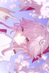  1girl animal_ears cherry_blossoms evanescia_(honkai:_star_rail) flower fox_ears fox_girl fox_shadow_puppet hair_flower hair_ornament highres honkai:_star_rail honkai_(series) looking_at_viewer pink_hair shirt short_hair solo suwa_(swk_kkk) violet_eyes white_shirt 