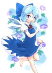  barefoot blue_eyes blue_hair bow buri cirno hair_bow highres popsicle short_hair solo touhou wings 