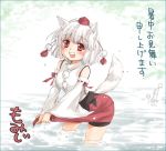 detached_sleeves hat inubashiri_momiji kanda_aya skirt tail tokin_hat touhou translation_request wading water wolf_ears wolf_tail 