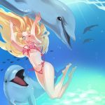  bikini blonde_hair breasts dolphin green_eyes long_hair packiii swimming swimsuit under_boob underboob underwater 