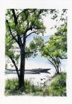  grass higasayama_naomi lake landscape scenery traditional_media tree water watercolor_(medium) 