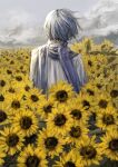  1boy absurdres blue_hair blue_scarf clouds cloudy_sky coat commentary field floating_hair flower flower_field from_behind high_collar highres ill_0619 kaito_(vocaloid) male_focus scarf short_hair sky solo standing sunflower sunflower_field symbol-only_commentary vocaloid white_coat 