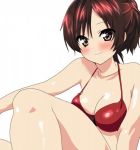  brown_eyes brown_hair katekyo_hitman_reborn katekyo_hitman_reborn! miura_haru momoiro_tanuki ponytail short_hair swimsuit 