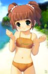 akiba_hideki beach bikini brown_hair child flat_chest green_eyes idolmaster solo swimsuit takatsuki_yayoi twintails 