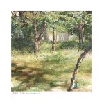  bush dappled_sunlight day forest grass mimoth nature original painting_(medium) plant scenery shadow sunlight tall_grass traditional_media tree tree_shade weeds 