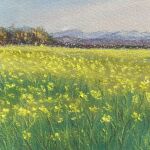  blue_sky clouds cloudy_sky field flower flower_field forest grass highres mountain nature norako_pastel original painting_(medium) pastel_(medium) scenery sky tall_grass traditional_media yellow_flower 