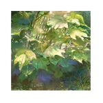  border dappled_sunlight day grass mimoth nature no_humans original painting_(medium) plant shadow still_life sunlight traditional_media weeds white_border 