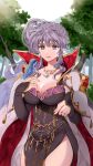  1girl absurdres animal ao_hito armor bird bird_on_hand cape commission commissioner_upload earrings fire_emblem fire_emblem:_genealogy_of_the_holy_war highres ishtar_(fire_emblem) ishtar_(fire_emblem)_(echoing_thunder) jewelry long_hair necklace pauldrons purple_hair shoulder_armor skeb_commission tree violet_eyes 