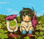  1girl :&lt; arm_up bird blue_footwear blue_sky blush_stickers boots commentary day dirt_on_face farm field food full_body fuu_(ozu_(oz_yarimasu)) gloves green_eyes green_hair guu_(ozu_(oz_yarimasu)) highres holding holding_food legs_apart long_hair looking_at_viewer low_twintails open_mouth original outdoors ozu_(oz_yarimasu) short_twintails sidelocks sky squatting sweet_potato symbol-only_commentary twintails v-shaped_eyebrows 