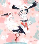  1girl animal bird bird_girl bird_tail bird_wings black_hair blue_eyes feathered_wings head_wings jacket japari_symbol kemono_friends kikuchi_milo long_hair looking_at_viewer multicolored_hair oriental_stork_(kemono_friends) pink_background shoes simple_background skirt tail thigh-highs two-tone_hair white_hair wings 