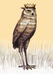  animal_focus beak bird brown_fur crown full_body kahadu_(kawazu) no_humans original owl solo standing yellow_eyes 