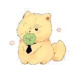  :3 animalization black_necktie blush commentary curly_eyebrows flower_(symbol) hair_over_one_eye highres marimo_zoro natori_(natori_10) necktie one_piece pomeranian_(dog) roronoa_zoro sanji_(one_piece) scar scar_across_eye scar_on_face simple_background sitting sweatdrop tail tail_wagging v-shaped_eyebrows white_background yellow_fur 