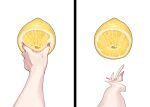  anatomical_nonsense food fruit grabbing hand_focus highres juice lemon meme original pov pov_cheek_grabbing_(meme) pov_hands sechi_(sechihyeo) simple_background solo thour_(meme) white_background 