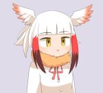  1girl blonde_hair blunt_bangs brown_hair commentary_request empty_eyes fur_collar grey_background head_wings japanese_crested_ibis_(kemono_friends) kemono_friends lets0020 looking_afar medium_bangs multicolored_hair neck_ribbon open_mouth red_ribbon redhead ribbon shirt short_hair simple_background smile solo upper_body white_shirt white_wings wings 