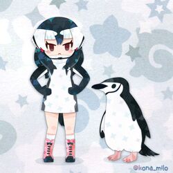  1girl animal bird black_hair boots brown_eyes chinstrap_penguin_(kemono_friends) elbow_gloves full_body gloves grey_background hood hoodie japari_symbol kemono_friends kikuchi_milo long_hair looking_at_viewer multicolored_hair penguin penguin_girl penguin_tail simple_background tail two-tone_hair white_hair 