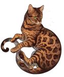  animal animal_focus artist_name bengal_cat brown_fur cat closed_mouth commission curled_tail floating full_body giulialibard green_eyes highres looking_ahead no_humans orange_fur original outline realistic simple_background solo turning_around two-tone_fur whiskers white_background 