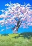  1girl absurdres arms_behind_back black_hair blue_eyes blue_sky cherry_blossoms commentary_request dress falling_petals grass highres long_hair original petals potg_(piotegu) sky solo standing tree white_dress 