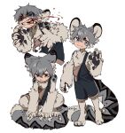  1boy :3 alternate_species animal_feet animal_hands artist_name black_overalls blood blood_from_mouth body_fur claws clenched_teeth closed_mouth deviidog0 dilated_pupils english_commentary full_body grey_fur grey_hair hands_up highres looking_at_viewer male_focus monster_boy multiple_views original overalls short_eyebrows short_hair simple_background sitting_on_own_tail smile snow_leopard_boy snow_leopard_ears snow_leopard_tail squatting standing teeth twitter_username white_background 