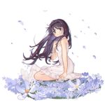  1girl absurdres akemi_homura alternate_costume bare_arms bare_shoulders black_hair black_hairband blue_eyes dress falling_petals field floating_hair flower flower_field frilled_dress frills from_side full_body hairband hand_on_own_chest highres long_hair looking_at_viewer mahou_shoujo_madoka_magica mahou_shoujo_madoka_magica_(anime) parted_lips petals seiza shan_tong_tong signature simple_background sitting sleeveless sleeveless_dress solo sundress white_background white_dress wind 
