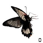  animal animal_focus artist_logo bug butterfly clip_studio_paint_(medium) full_body mutumipketto no_humans original simple_background solo white_background 