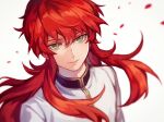  1boy aokamei closed_mouth eyelashes green_eyes highres kurama_(yu_yu_hakusho) long_hair long_sleeves looking_at_viewer male_focus petals redhead rose_petals sidelocks smile solo upper_body white_background yu_yu_hakusho 