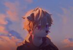  1boy animal_ears blue_eyes body_fur brown_hair closed_mouth clouds cloudy_sky dog_boy dog_ears english_commentary furry furry_male grey_fur highres hood hood_down hoodie looking_to_the_side male_focus original outdoors papyuuno short_hair sky solo sunset upper_body 