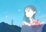  1girl aaaoka black_hair blue_eyes blue_sailor_collar blue_sky blurry blurry_background bouquet day flower highres holding holding_bouquet holding_flower long_hair long_sleeves looking_to_the_side original outdoors parted_lips petals pink_flower power_lines red_flower sailor_collar school_uniform serafuku shirt sky solo standing transmission_tower upper_body white_shirt 