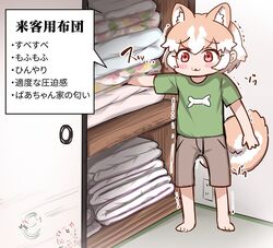  1girl :3 alternate_costume animal_ears barefoot blush casual dog_(shiba_inu)_(kemono_friends) dog_ears dog_girl dog_tail extra_ears green_shirt grey_shorts hair_between_eyes kemono_friends light_brown_hair orange_eyes shirt short_sleeves shorts sidelocks solo t-shirt tail tanaka_kusao translation_request white_hair 