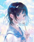  1girl black_hair blue_eyes blue_neckerchief blue_sailor_collar blue_sky blush clouds cloudy_sky commentary_request crying crying_with_eyes_open daisy dated day falling_petals flower hand_up highres holding holding_flower looking_at_viewer multicolored_background nakamura_hinata neckerchief original outdoors petals sailor_collar school_uniform serafuku shirt short_hair signature sky solo tears upper_body white_flower white_shirt 