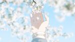  1girl blue_shirt blurry cherry_blossoms close-up commentary_request depth_of_field falling_petals film_grain highres long_sleeves original outdoors petals shirt solo yuribou 