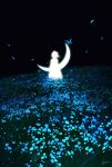  1girl absurdres arms_at_sides blue_flower crescent_moon dress facing_ahead falling_petals field flower flower_field from_behind grass highres landscape moon nature night original outdoors petals scenery short_hair signature silhouette skyrick9413 solo wide_shot 
