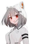  1girl animal_ear_fluff animal_ears black_trim blush bob_cut breasts cat_ears collared_shirt colored_inner_animal_ears commentary_request extra_ears fang firehippo grey_hair hair_ornament hairclip highres looking_at_viewer looking_down looking_to_the_side maro_(neneko_mashiro) medium_breasts multicolored_hair neneko_mashiro open_mouth red_eyes redhead shirt short_hair simple_background skin_fang smile solo stellive streaked_hair thick_eyelashes upper_body virtual_youtuber white_background white_shirt 