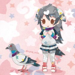  1girl animal bird bird_girl bird_tail bird_wings brown_eyes feathered_wings grey_hair head_wings japari_symbol kemono_friends kikuchi_milo long_hair looking_at_viewer pantyhose pink_background rock_pigeon_(kemono_friends) scarf shirt shoes simple_background skirt socks tail wings wristband 