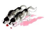  2others animal_focus bone closed_eyes colored_shadow ears_back fleebites flower flower_in_mouth grey_fur holding holding_bone multiple_others no_humans original paw_up red_flower red_rose rose shadow sharp_teeth simple_background teeth white_background wolf 