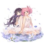  2girls :d absurdres akemi_homura alternate_costume back-to-back bare_arms bare_shoulders black_hair black_hairband blue_eyes bow bowtie choker dress eye_contact falling_petals field floating_hair flower flower_field frilled_dress frills from_side full_body hair_ribbon hairband hand_on_hand hand_on_own_chest highres kaname_madoka long_hair looking_at_another mahou_shoujo_madoka_magica mahou_shoujo_madoka_magica_(anime) multiple_girls open_mouth parted_lips petals pink_hair red_eyes ribbon seiza shan_tong_tong short_hair short_twintails signature simple_background sitting sleeveless sleeveless_dress smile sundress twintails white_background white_bow white_bowtie white_choker white_dress white_flower wind yuri 