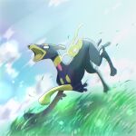  animal_focus black_eyes blank_eyes blue_sky chromatic_aberration clouds commentary_request constricted_pupils day dog full_body grass highres no_humans open_mouth outdoors pokemon pokemon_(creature) riding rize_(r) running sky tears white_eyes wide-eyed zygarde zygarde_(10) zygarde_core 