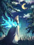  7_phi_3 alternate_color animal_focus blue_fire clouds commentary crescent_moon fire grass highres hisuian_typhlosion looking_up moon night night_sky no_humans pokemon pokemon_(creature) shiny_pokemon sky standing star_(sky) symbol-only_commentary 