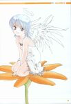  1girl absurdres between_legs closed_mouth dress english_text feathered_wings flower fujishima_kousuke game_jin_partner grey_eyes grey_hair halo hand_between_legs highres looking_at_viewer medium_hair moire numbered orange_flower page_number parted_lips rivetta_(game_jin_partner) scan seiza sitting smile solo spaghetti_strap traditional_media v_arms white_background white_dress white_wings wings 