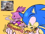  1boy 1girl artist_name blaze_the_cat blue_fur cat chili_dog cup eating food food_in_mouth food_on_face forehead_jewel gloves green_eyes hedgehog highres holding holding_cup kaylla photo_inset ponytail purple_fur reference_inset simple_background sonic_(series) sonic_the_hedgehog teacup white_gloves yellow_background yellow_eyes 