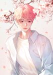  1boy bamby_(plave) branch cherry_blossoms closed_mouth collared_shirt commentary commentary_request falling_petals hair_between_eyes highres korean_commentary looking_to_the_side male_focus nolang petals pink_eyes pink_hair plave shirt solo t-shirt undershirt upper_body white_background white_shirt 