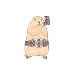  animal_focus body_fur brown_fur card check_commentary commentary_request decadriver henshin_pose holding holding_card kamen_rider kamen_rider_dcd prairie_dog py0wwk rider_card simple_background solo tail white_background 
