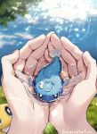  1other alternate_size creature cupping_hands dondozo grass highres holding holding_creature holding_water kaminokefusa outdoors own_hands_together pokemon pokemon_(creature) pov pov_hands sunlight tatsugiri 