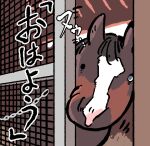  commentary horse looking_at_viewer motion_lines no_humans opening_door real_life sliding_doors stable takatsuki_nato tanino_gimlet_(racehorse) translated uneven_eyes 