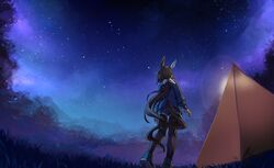  1girl admire_vega_(umamusume) animal_ears black_pantyhose blue_jacket blue_shorts brown_hair camping commentary_request ear_covers from_behind grass hood hood_down hooded_jacket horse_ears horse_girl horse_tail jacket long_hair low_ponytail night night_sky outdoors pantyhose purple_sky shorts single_ear_cover sky solo standing star_(sky) starheart starry_sky tail tent umamusume 