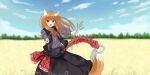  1girl :d absurdres animal_ear_fluff animal_ears black_skirt black_vest blue_shirt blue_sky blunt_bangs blush brown_hair commentary day english_commentary fang feet_out_of_frame floating_hair fur-trimmed_skirt fur-trimmed_vest fur_trim happy highres holding_wheat holo im_kaj long_hair long_skirt long_sleeves looking_at_viewer open_clothes open_mouth open_vest outdoors outstretched_arms red_eyes shirt skirt sky smile solo spice_and_wolf straight_hair tail vest wheat wheat_field wind wolf_ears wolf_girl wolf_tail 