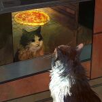  absurdres animal_focus artist_name cat catwheezie commentary english_commentary food highres indoors no_humans original oven pizza reflection 